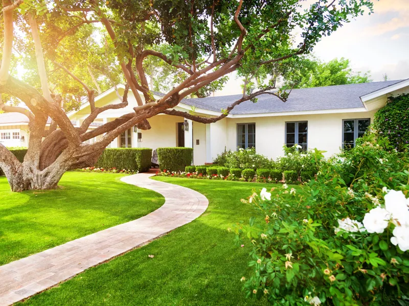 A house with a scenic pathway that leads to a front entrance with a beautiful tree spread out in the front yard.